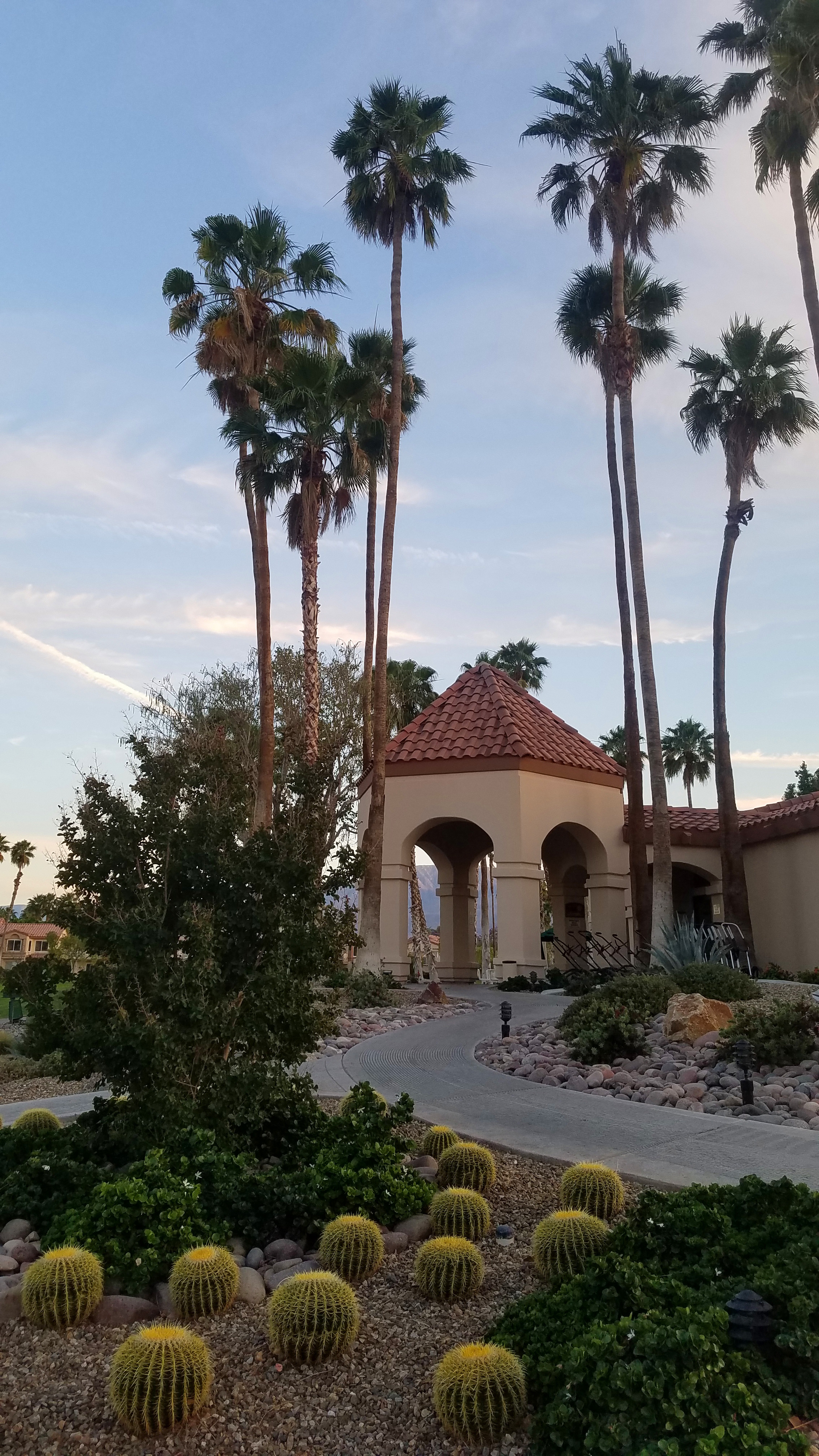 Palm Royale clubhouse and cacti